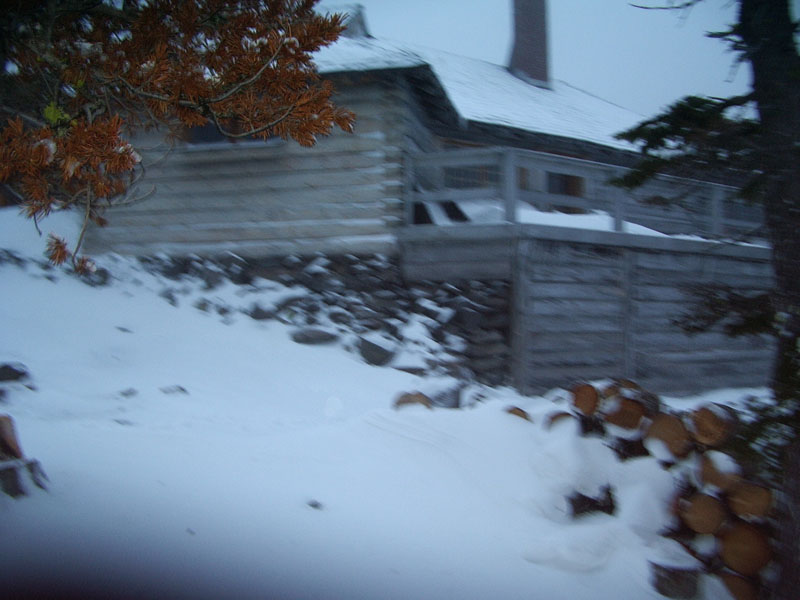 IMGP1561