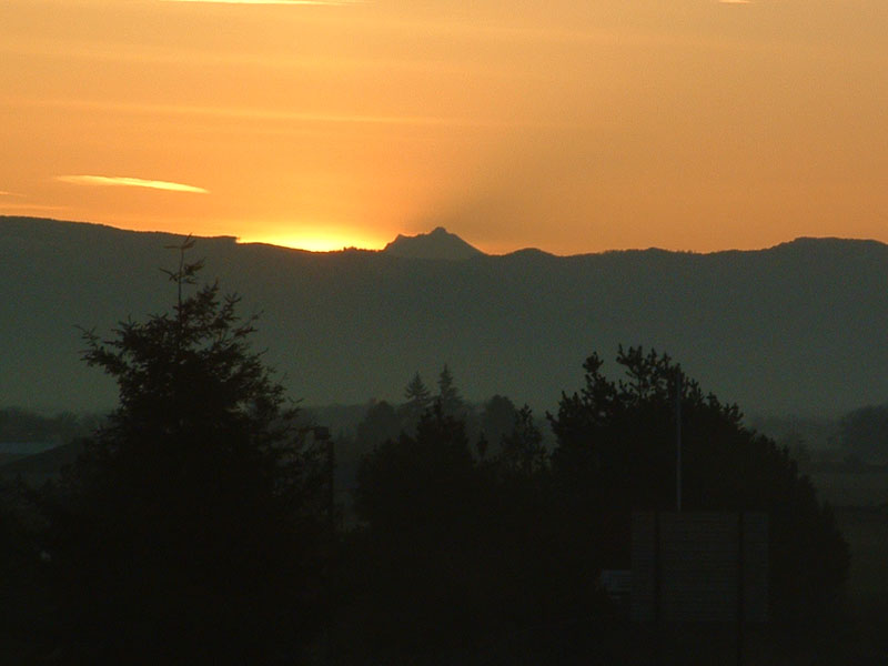DSCF0938