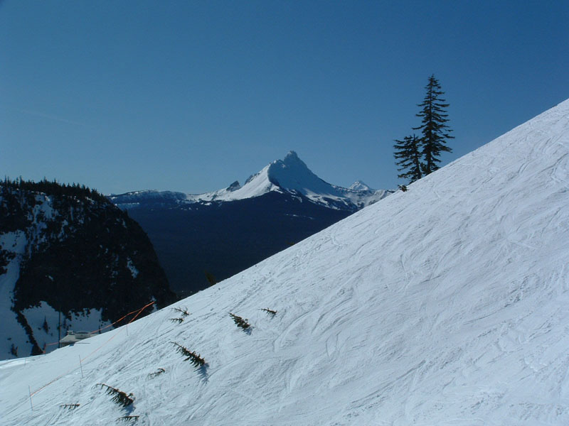 DSCF1142