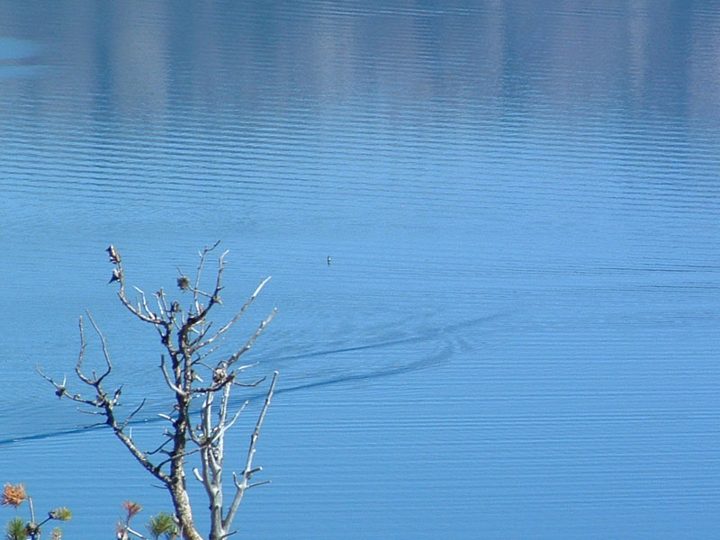 DSCF0115
