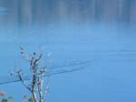 DSCF0115